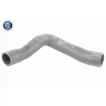 Gaine de suralimentation VAICO OEM 7M3145828