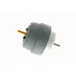 VAICO V10-3063 - Support moteur avant droit