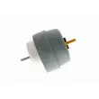 VAICO V10-3063 - Support moteur avant droit
