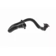 VAICO V10-3092 - Tuyau, ventilation de carter-moteur