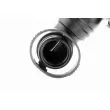 VAICO V10-3100 - Tuyau, ventilation de carter-moteur
