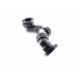 VAICO V10-3100 - Tuyau, ventilation de carter-moteur