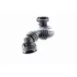 VAICO V10-3100 - Tuyau, ventilation de carter-moteur