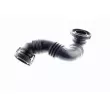 VAICO V10-3100 - Tuyau, ventilation de carter-moteur