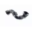 VAICO V10-3100 - Tuyau, ventilation de carter-moteur