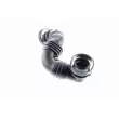 VAICO V10-3100 - Tuyau, ventilation de carter-moteur