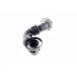 VAICO V10-3100 - Tuyau, ventilation de carter-moteur