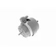 VAICO V10-3134 - Support moteur avant gauche