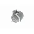 VAICO V10-3134 - Support moteur avant gauche