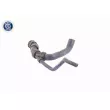 VAICO V10-3195 - Durite de radiateur