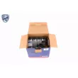 VAICO V10-3229 - Jeu de pièces, Vidange boîte automatique