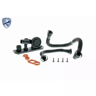 Kit de réparation, ventilation du carter-moteur VAICO OEM 06F103483E