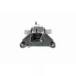 VAICO V10-3255 - Support moteur avant gauche