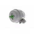VAICO V10-3295 - Support moteur avant gauche