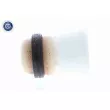 VAICO V10-3364 - Butée élastique, suspension