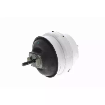 VAICO V10-3442 - Support moteur avant gauche