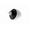 Support moteur VAICO [V10-3443]