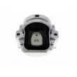 VAICO V10-3477 - Support moteur avant droit