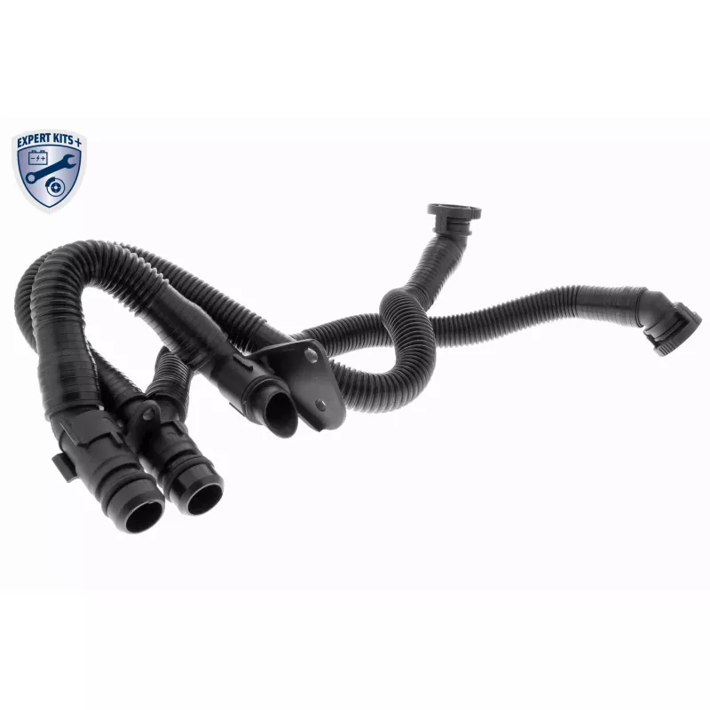 Tuyau, ventilation de carter-moteur VAICO V10-3503 - Visuel 1