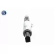 VAICO V10-3727 - Valve de commande, réglage d'arbres à came