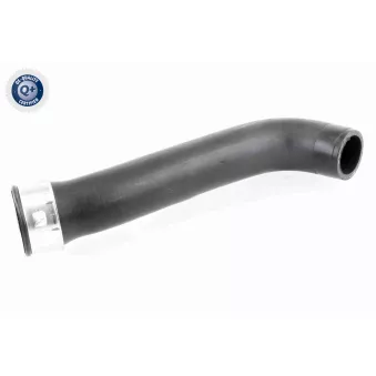 Gaine de suralimentation VAICO OEM 1J0145828E