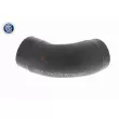 VAICO V10-3770 - Gaine de suralimentation
