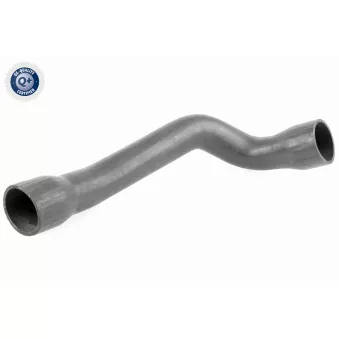 Gaine de suralimentation VAICO OEM 2D0145856C