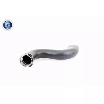 Gaine de suralimentation VAICO OEM 2E0145828B