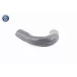 VAICO V10-3830 - Gaine de suralimentation