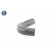 VAICO V10-3830 - Gaine de suralimentation