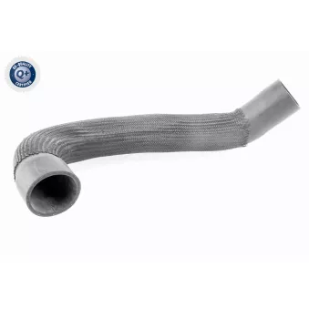 Gaine de suralimentation VAICO V10-3838