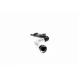 VAICO V10-3879 - Tuyau, ventilation de carter-moteur arrière gauche