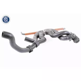VAICO V10-3910 - Durite de radiateur