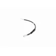VAICO V10-4138 - Flexible de frein