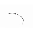 VAICO V10-4184 - Flexible de frein