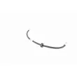 VAICO V10-4184 - Flexible de frein