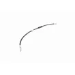 VAICO V10-4213 - Flexible de frein