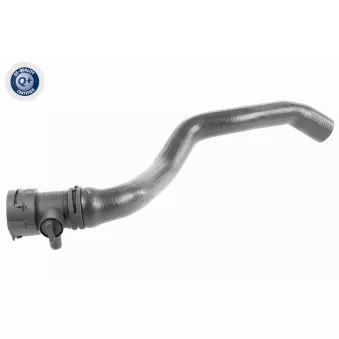 VAICO V10-4268 - Durite de radiateur