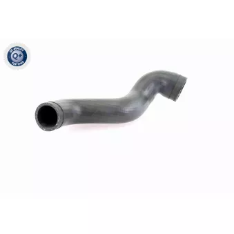 Gaine de suralimentation VAICO OEM 8E0145745C