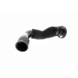 VAICO V10-4636 - Flexible, aération de la housse de culasse