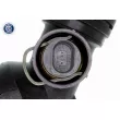 VAICO V10-4778 - Durite de radiateur
