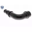 VAICO V10-4804 - Tuyau, ventilation de carter-moteur