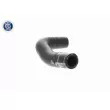 VAICO V10-4860 - Durite de radiateur