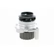 VAICO V10-50001-1 - Pompe à eau