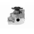 VAICO V10-50005 - Pompe à eau