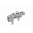 VAICO V10-50006 - Pompe à eau