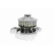 VAICO V10-50008 - Pompe à eau