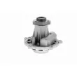 VAICO V10-50009 - Pompe à eau