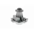 VAICO V10-50009 - Pompe à eau