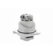 VAICO V10-50010 - Pompe à eau